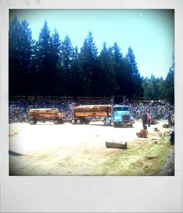 shot_1434227282217#1